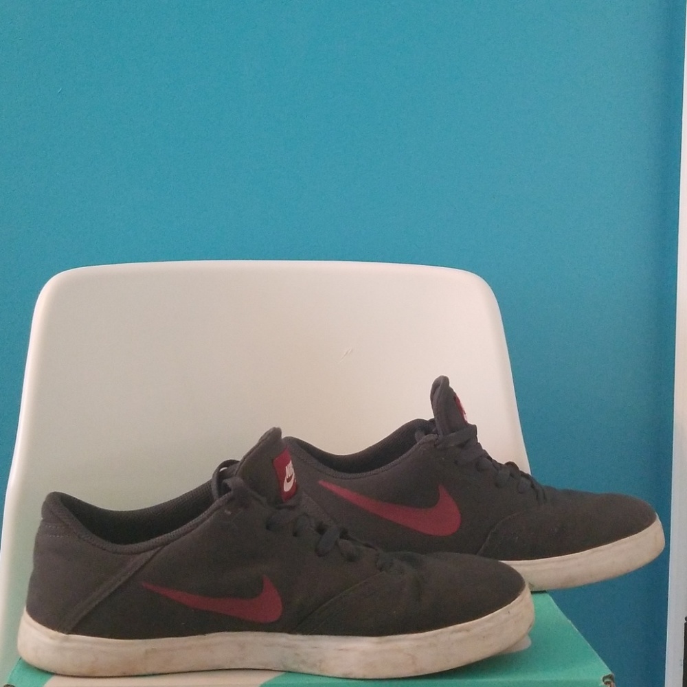 Nike sb check canvas